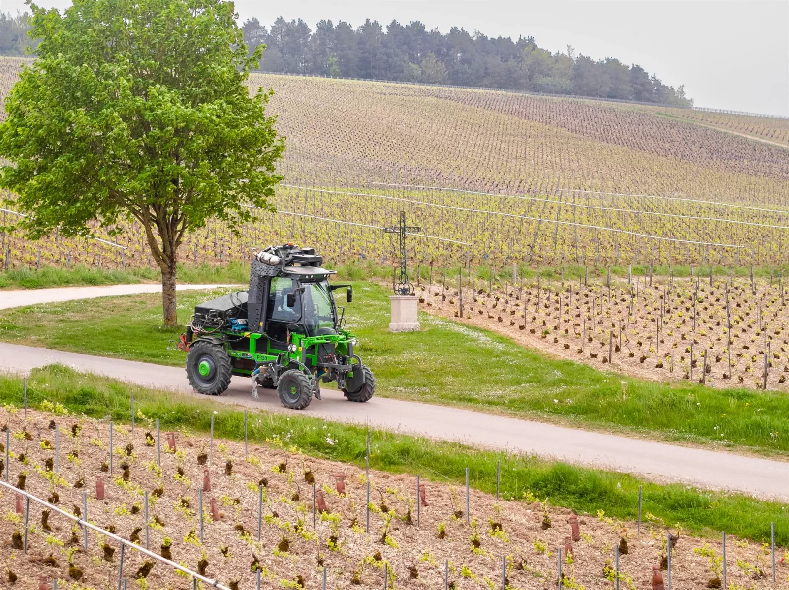 Pulvérisateur automoteur Tecnoma P150 au travail